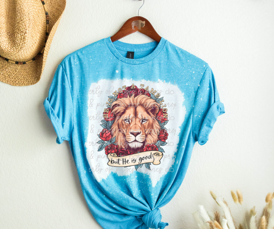 Not a Tame Lion But He Is Good