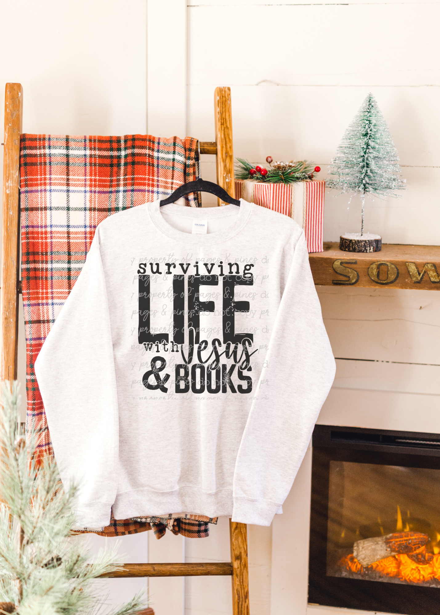 Surviving Life with Jesus and Books