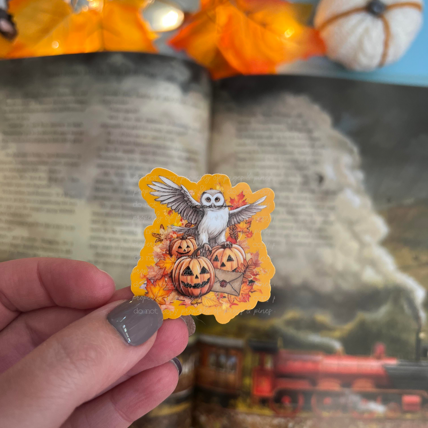 Fall Owl Post
