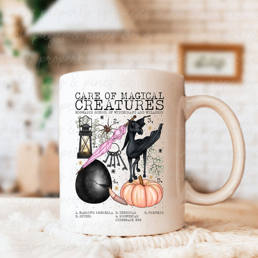 Magical Creatures Wizarding Class
